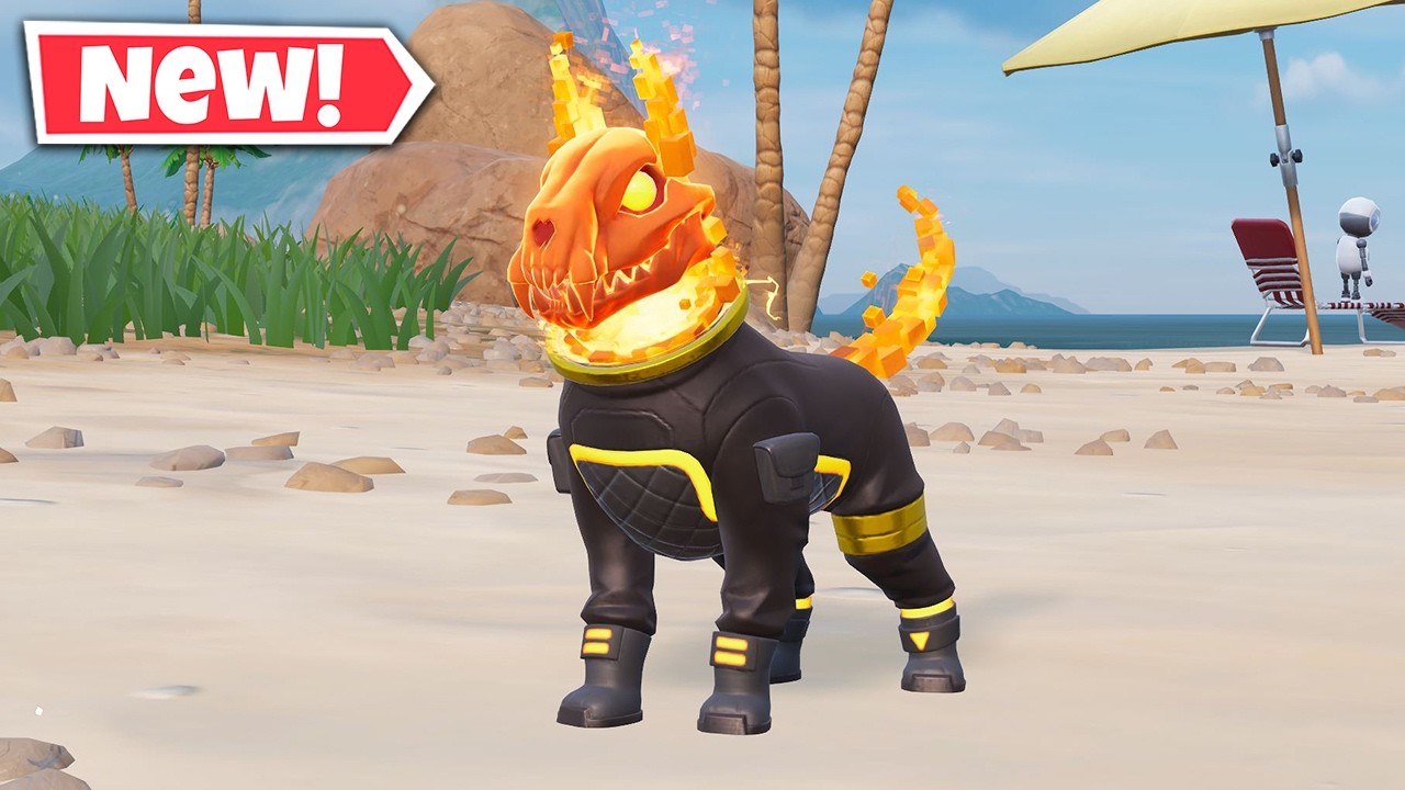 NEW THE BARK VOYAGER Sidekick Gameplay In Fortnite! (FREE Reward) backdrop