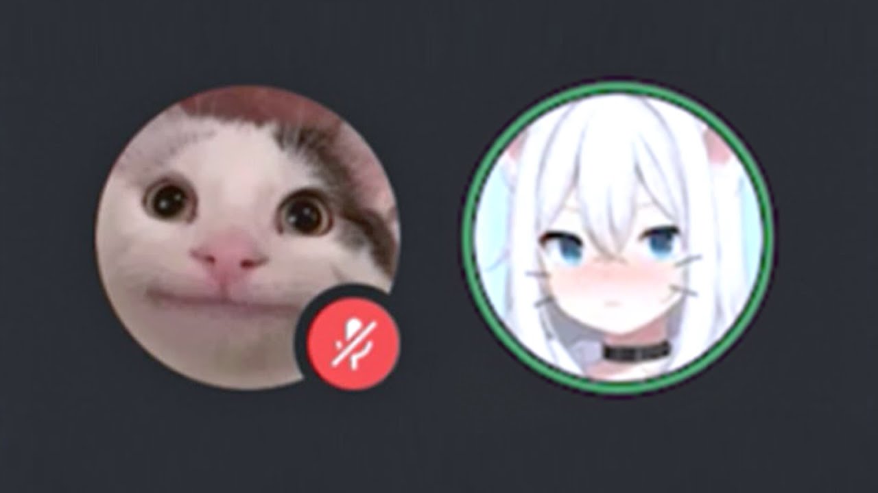 "Voice Reveals" be like... background