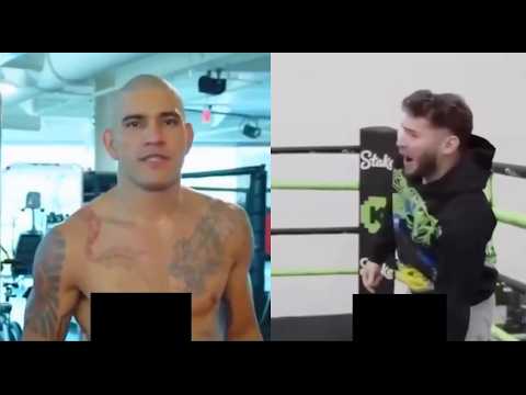 Alex Pereira's Low Kick Destroying Civilians