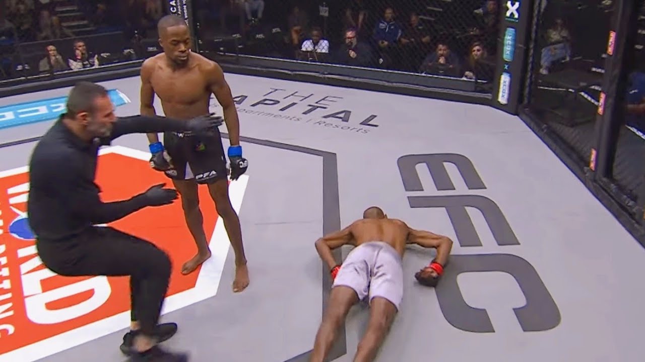 Brutal MMA Knockouts June 2026 1st Week