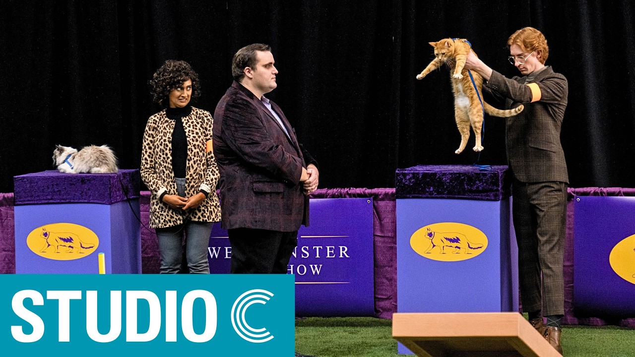 Westminster Cat Show - Studio C