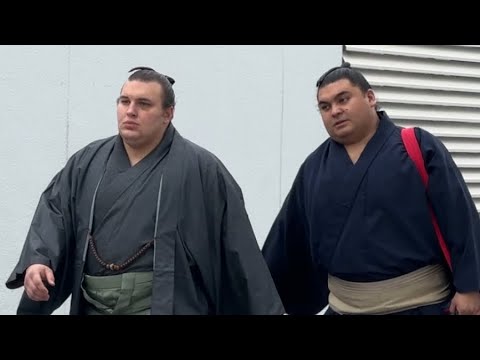 入り待ち 安青錦 霧島 宇良 琴栄峰 藤ノ川 高安 場所入り【大相撲令和7年1月場所】初日 AONISHIKI URA TAKAYASU 2025/1/12