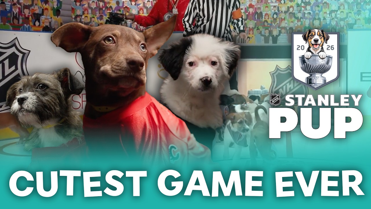 🐾🐶 2026 Stanley Pup 🐾🐶 | Featuring the Cutest Puppies You've Ever Seen!