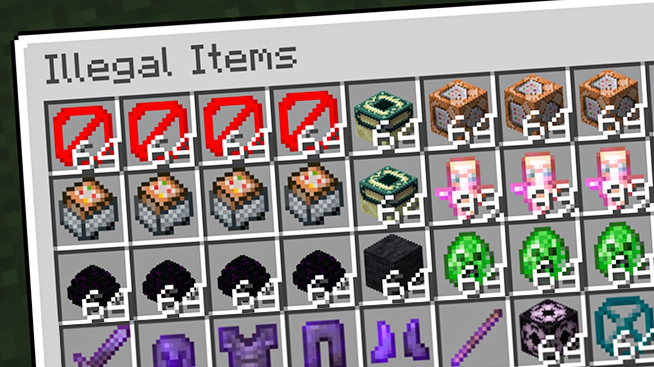 I Collected Every Illegal Item in This Minecraft SMP..!