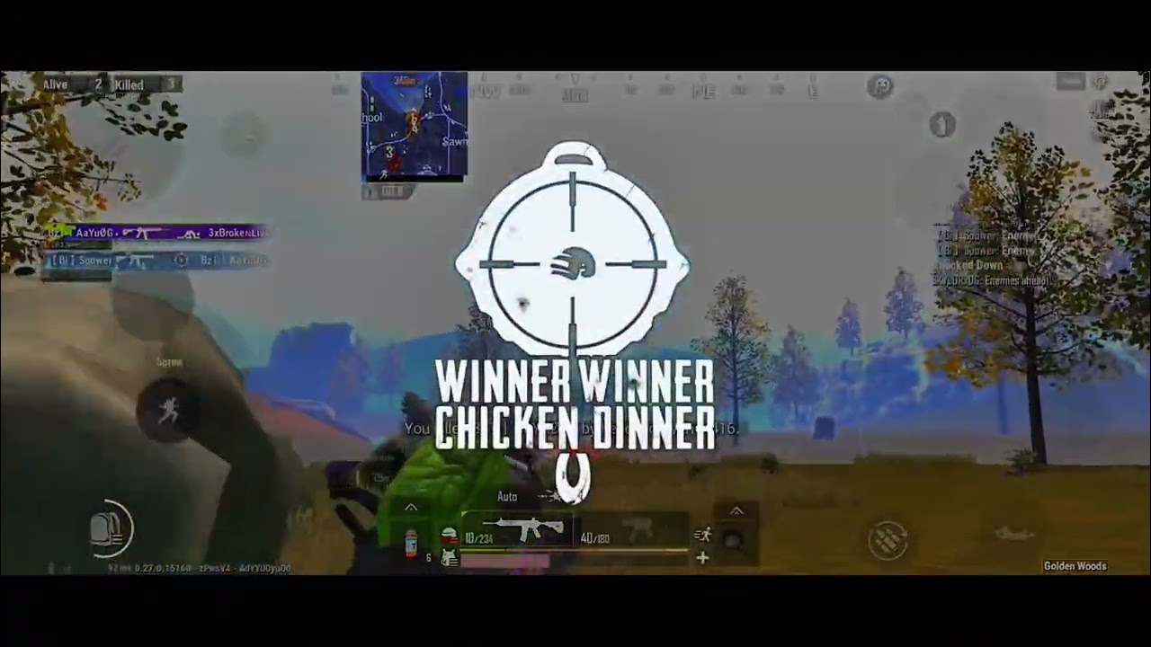 PHENOMENAL? PUBG LITE COMPETATIVE MONTAGE | PUBG LITE COMPI MONTAGE