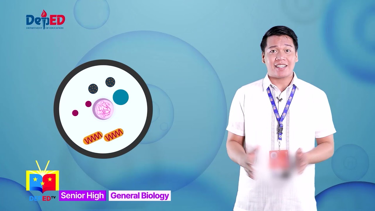 SHS GENERAL BIOLOGY Q1 Ep1: The Cell Cycle background