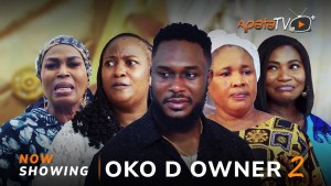Oko D Owner 2