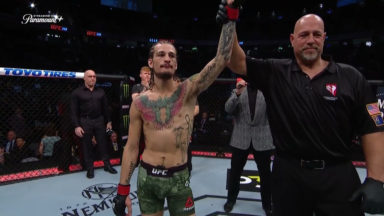 All of Sean O'Malley's knockouts in the UFC | Full Fights | UFC White House