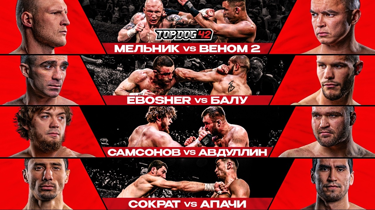 TOP DOG 42, Санкт-Петербург | Мельник VS Веном 2, EBOSHER VS Балу, Самсонов VS Авдуллин