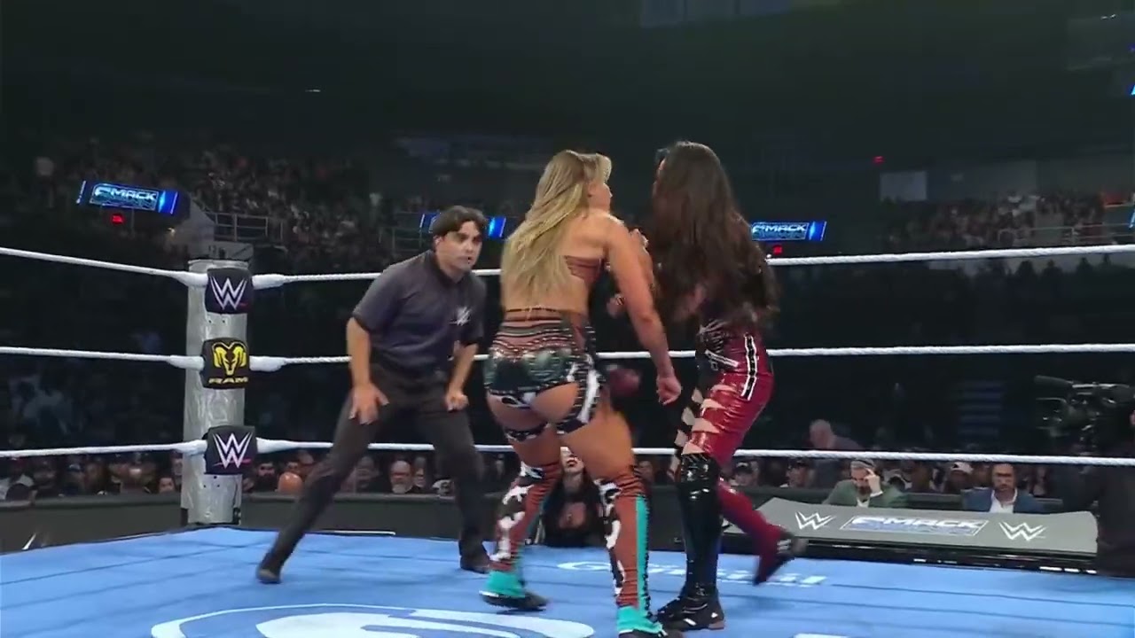 Paige & Brie Bella VS Fatal Influence 2/2