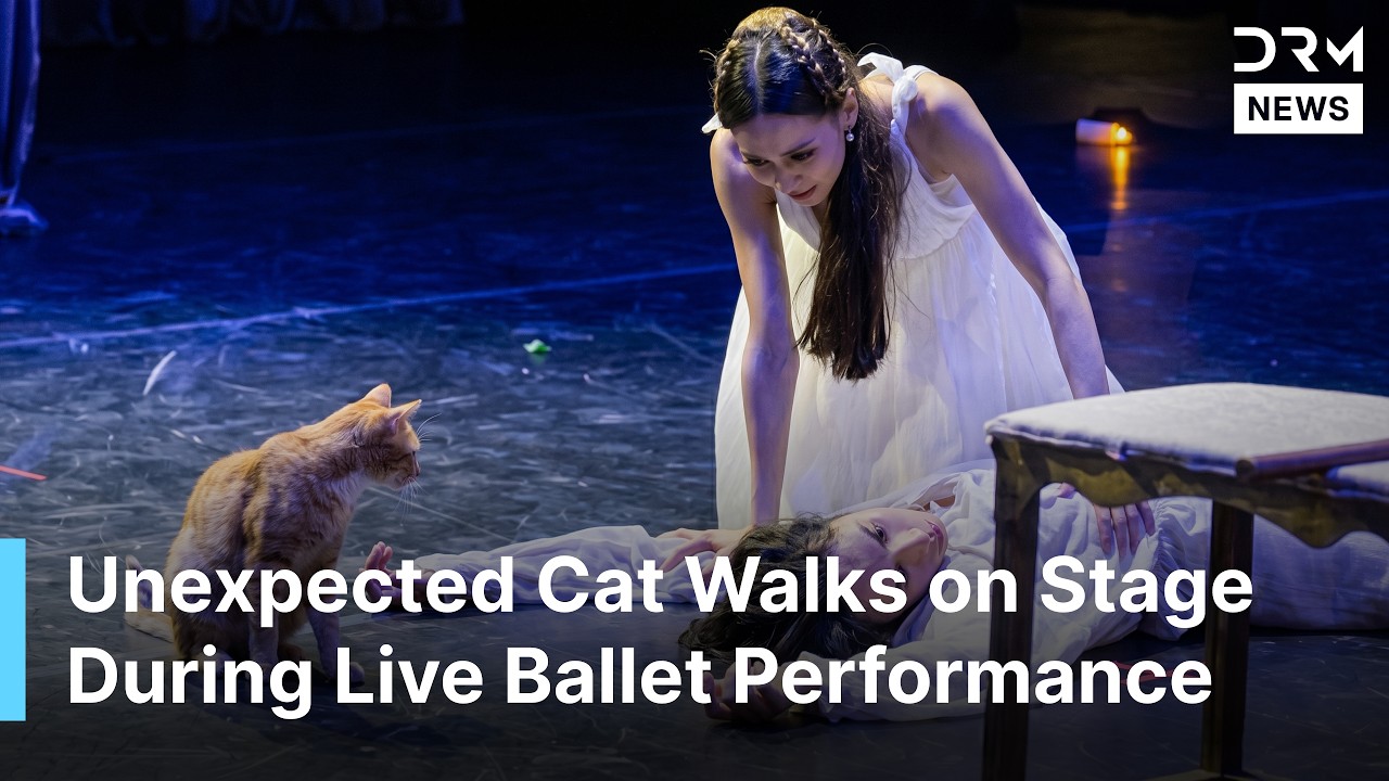 HILARIOUS MOMENTS: Viral Cat Steals the Show During Romeo and Juliet Ballet in Izmir, Turkey | AA14