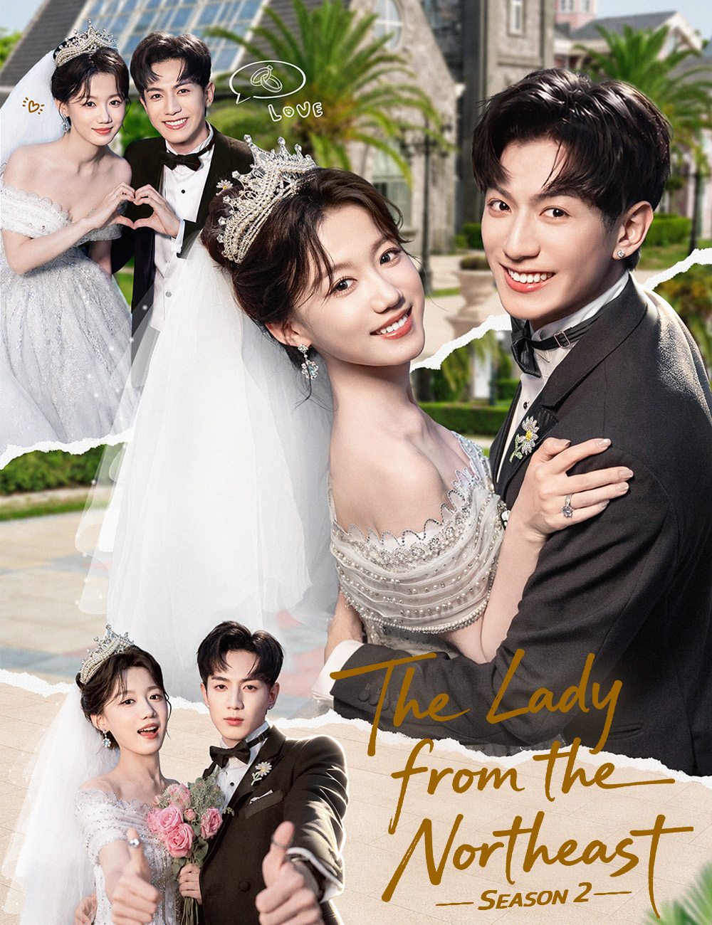 The Lady from the Northeast poster