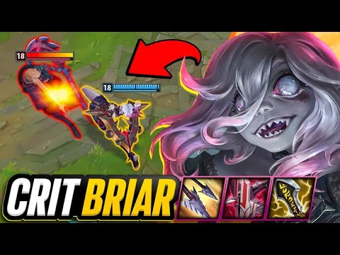 Yuntal Crit Briar USED To Be Broken... Is It Still Good?
