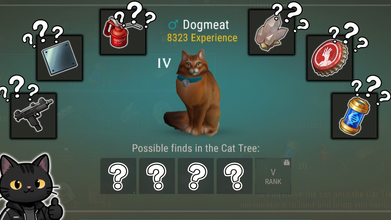 💎 These Cat Rewards Were Better Than Expected in Last Day on Earth