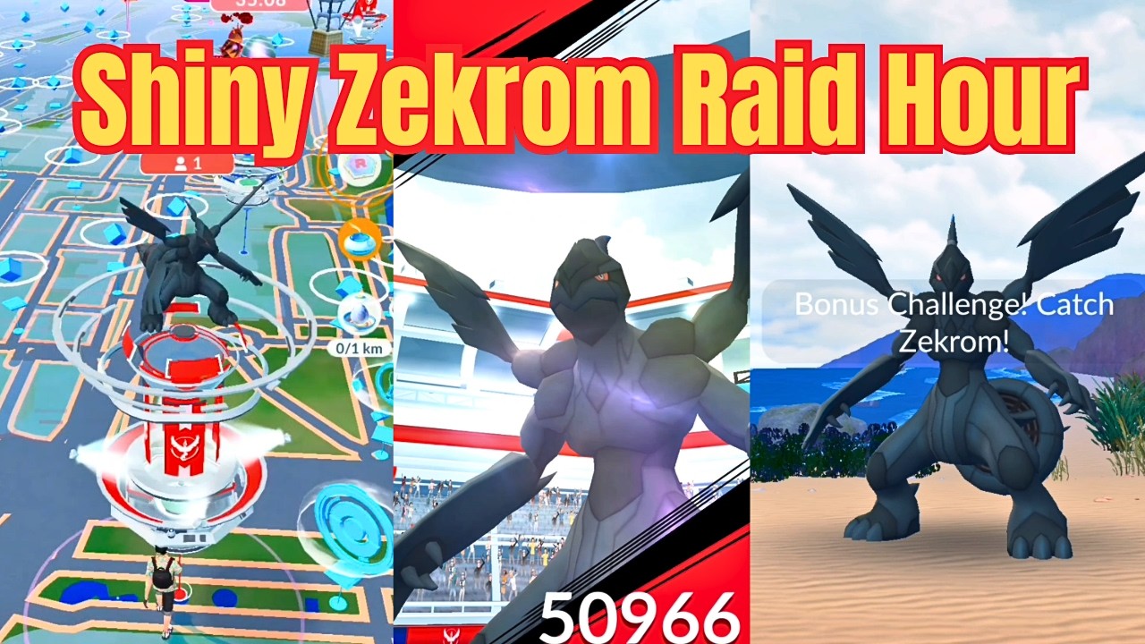 Pokémon GO Zekrom Raid Hour | Shiny Zekrom Encounter! #pokemongo background