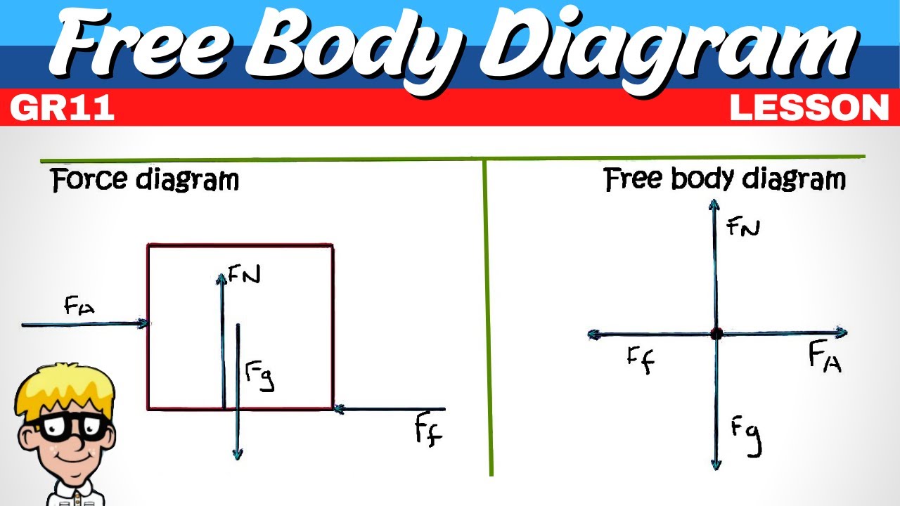Grade 11 Newtons Laws