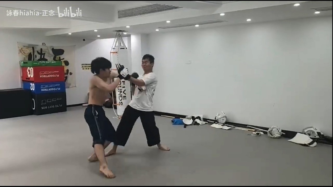 Wing Chun vs Five Ancestors - Kungfu Sparring background