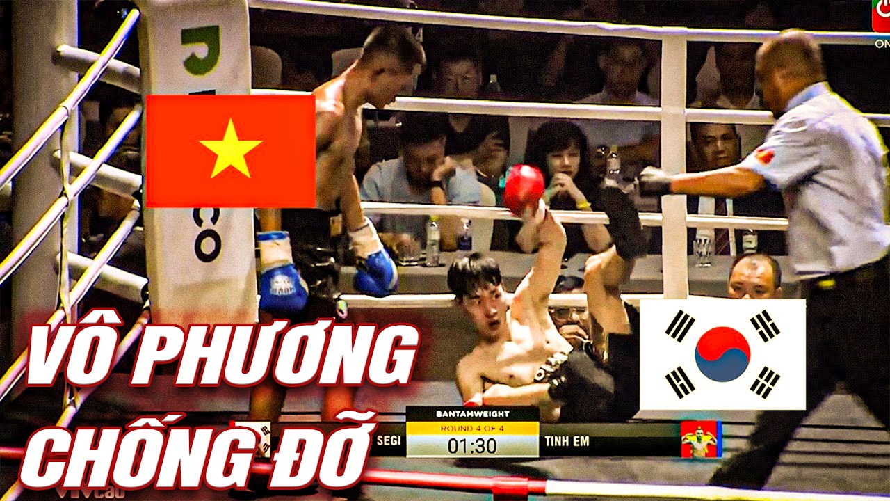 Cú tay đấm Hàn Quốc NGỠ NGÀNG NGƠ NGÁC NGÃ NGỬA trước những cú đấm như trời giáng của võ sĩ Việt