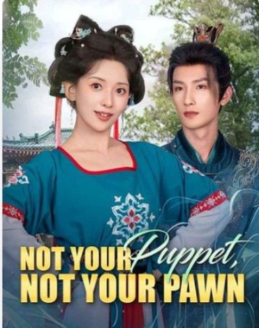 The Pawn and The Puppet poster - similar to two sided world