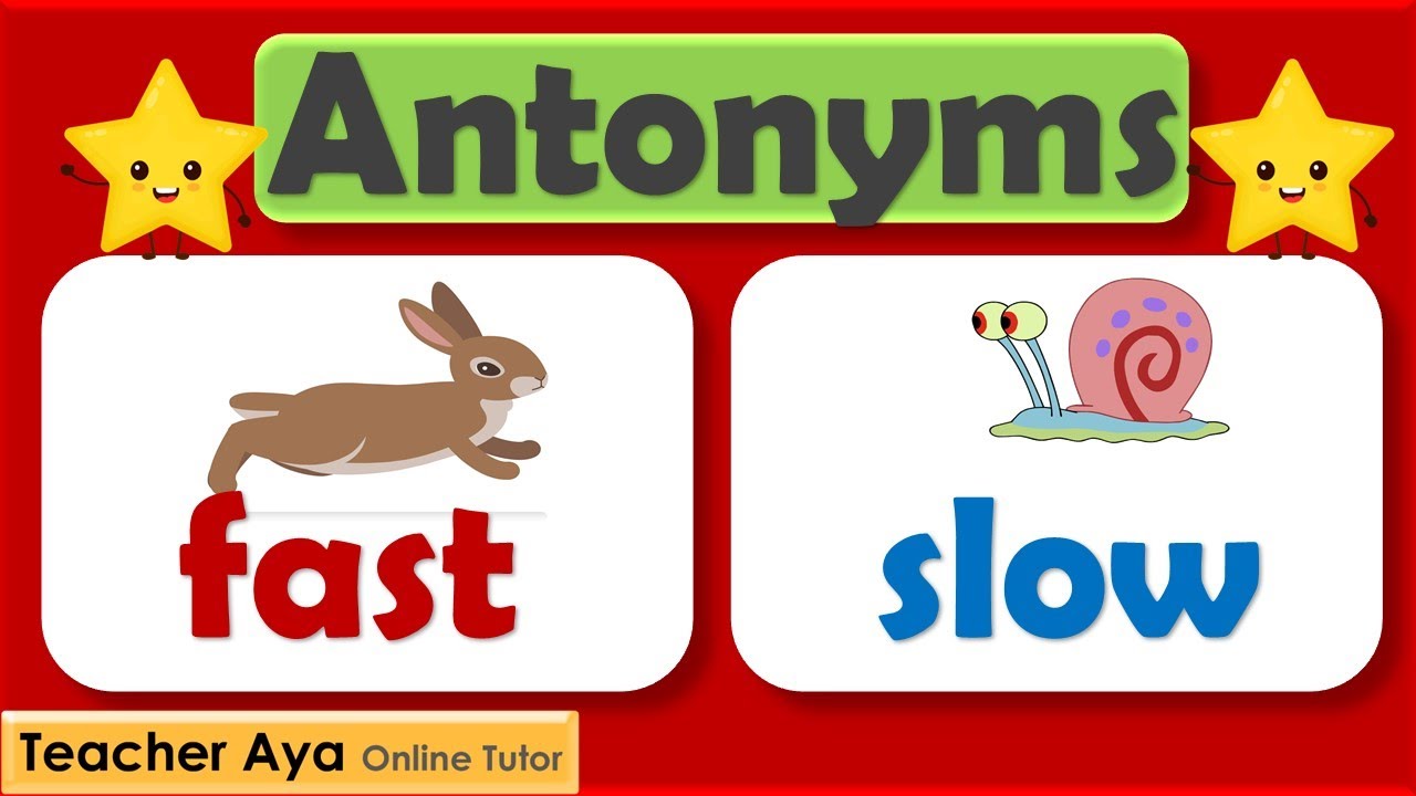 Synonyms - Antonyms