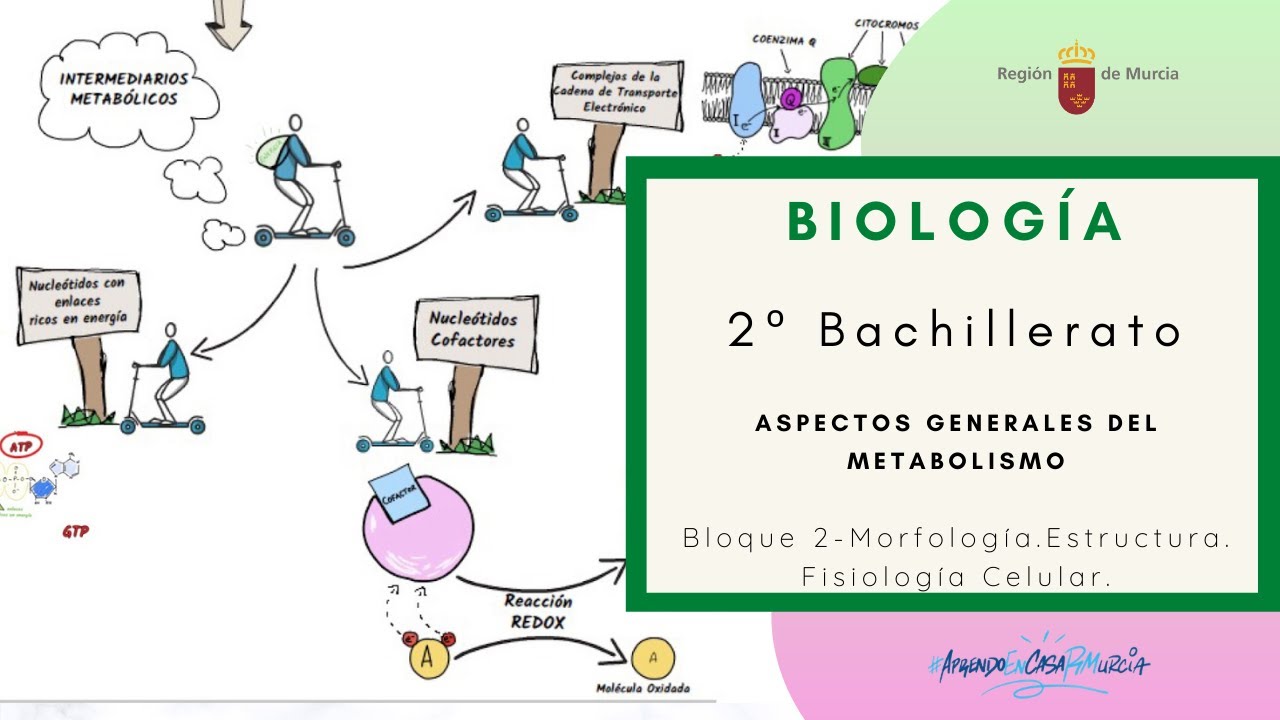 Biología 2º Bach