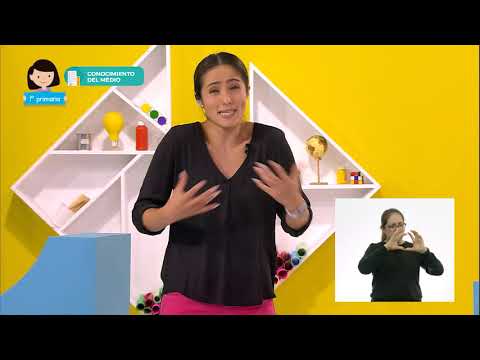 #AprendeEnCasa II | 1º Primaria | 7 octubre 2020