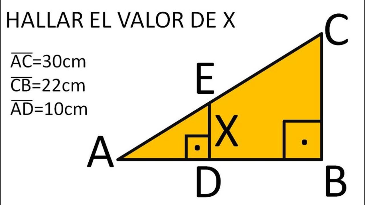 TEOREMA DE TALES