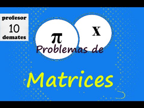 Problemas de matrices resueltos