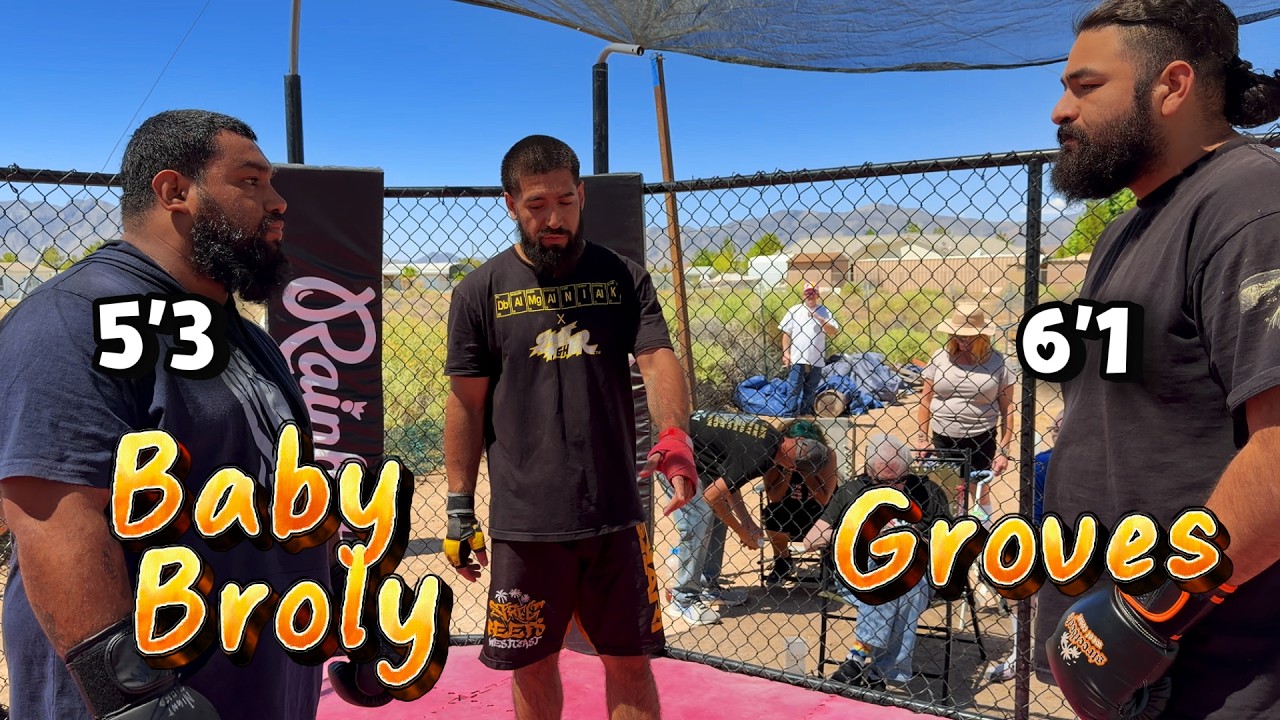 This Fight Got Violent FAST | Baby Broly vs Groves background