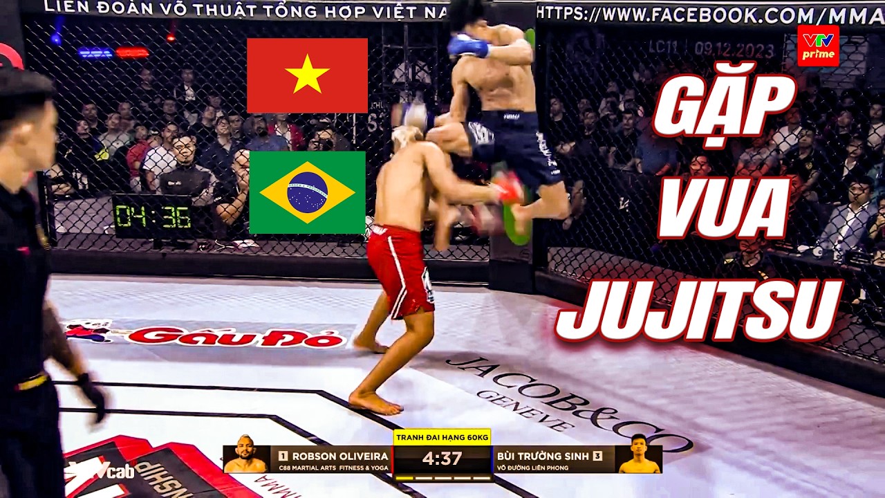 Võ sĩ Việt Nam tung ĐÒN GỐI BAY nhằm triệt hạ vua Jujitsu của Brazil và cái kết background