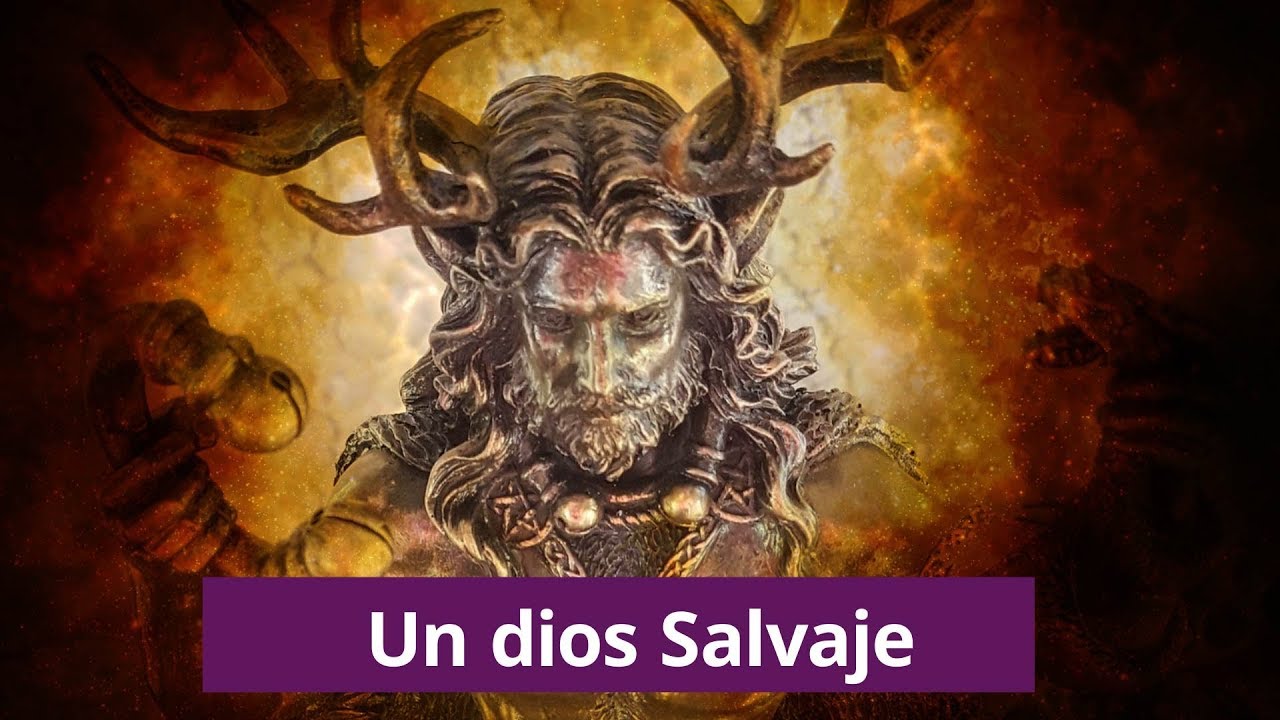 Dioses