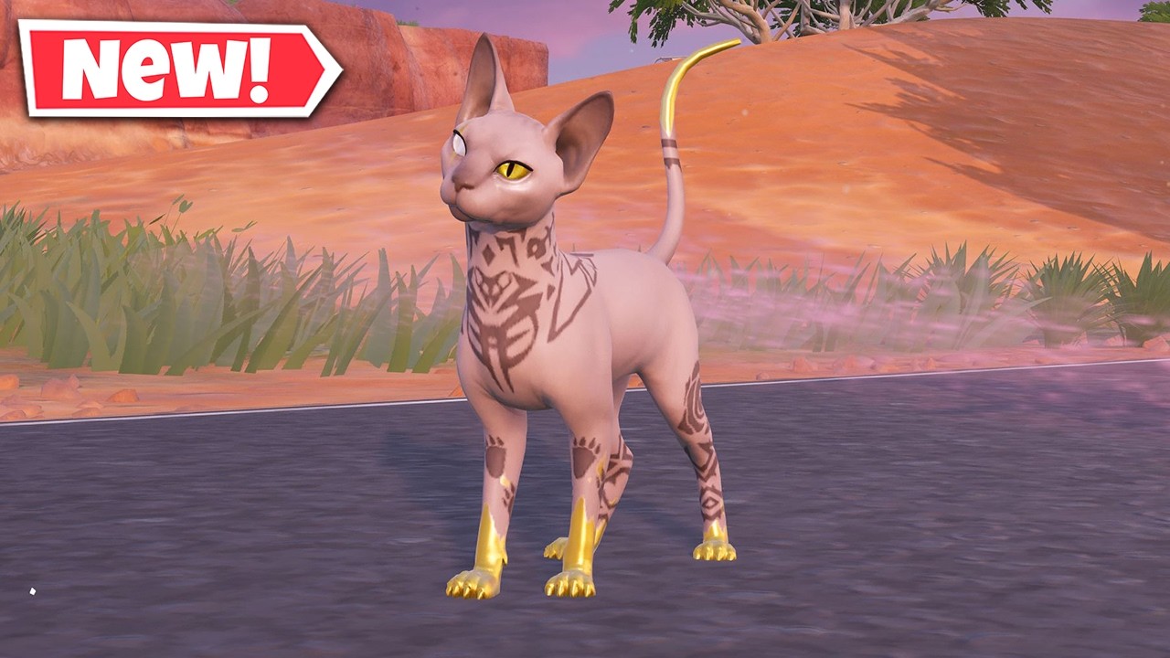 NEW MEOWDAS SPHYNX Sidekick Gameplay In Fortnite! background