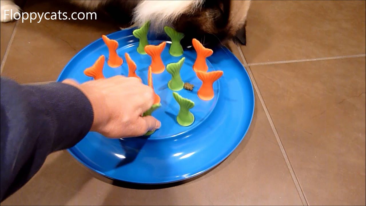 Petmate Jackson Galaxy Go Fish Cat Toy Cat Puzzle Toy Product Review - ねこ - ラグドール - Floppycats backdrop