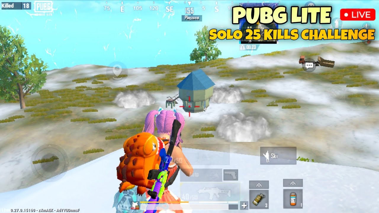 PUBG LITE LIVE | SOLO 25 KILLS CHALLENGE INTENSE GAMEPLAY