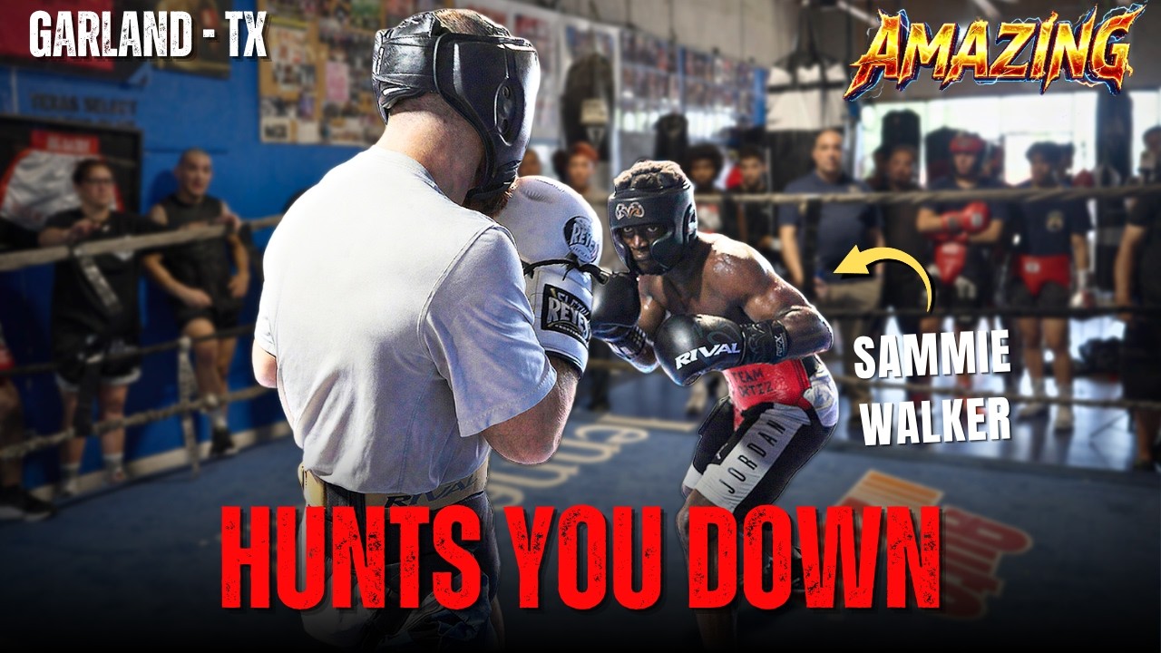 CORNERED! Amateur Boxer HUNTS DOWN Foes With SHARP Strikes In Sparring!