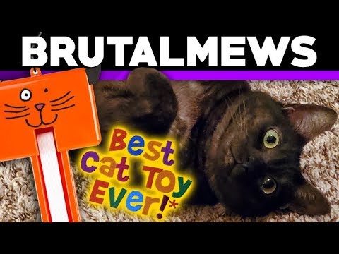 Fling-ama-String! - Cat Toy Review background