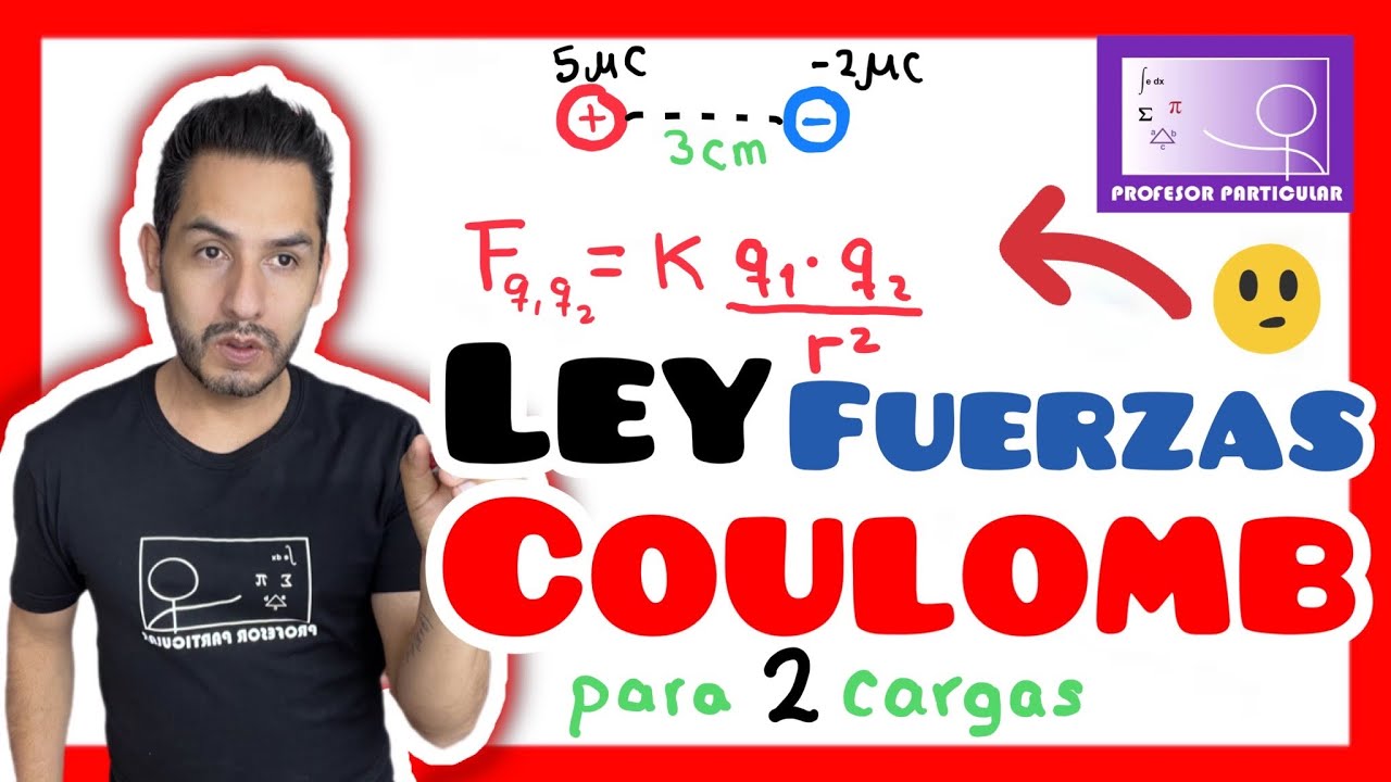 Cargas eléctricas Física
