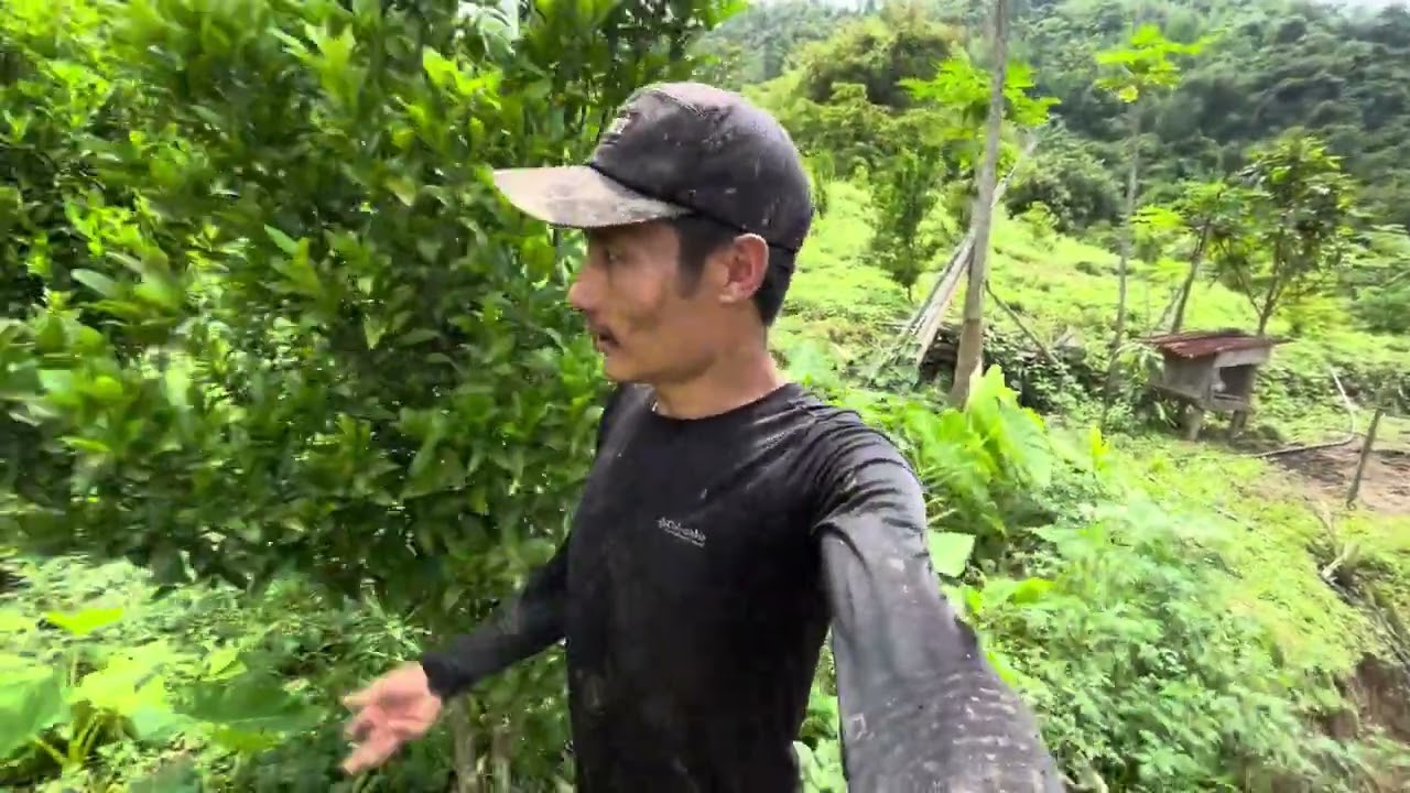 A day in my paddy field background