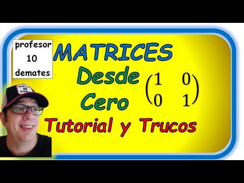 MATRICES y DETERMINANTES sistemas desde cero