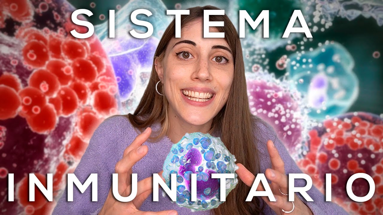 TODO sobre el SISTEMA INMUNITARIO: respuesta inmunitaria, linfocitos, alergias y vacunas