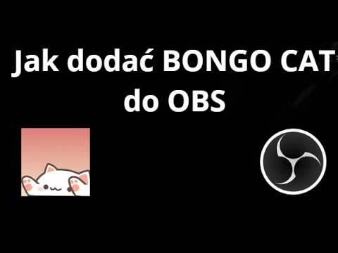 Jak dodać BONGO CAT do OBS – pełny poradnik