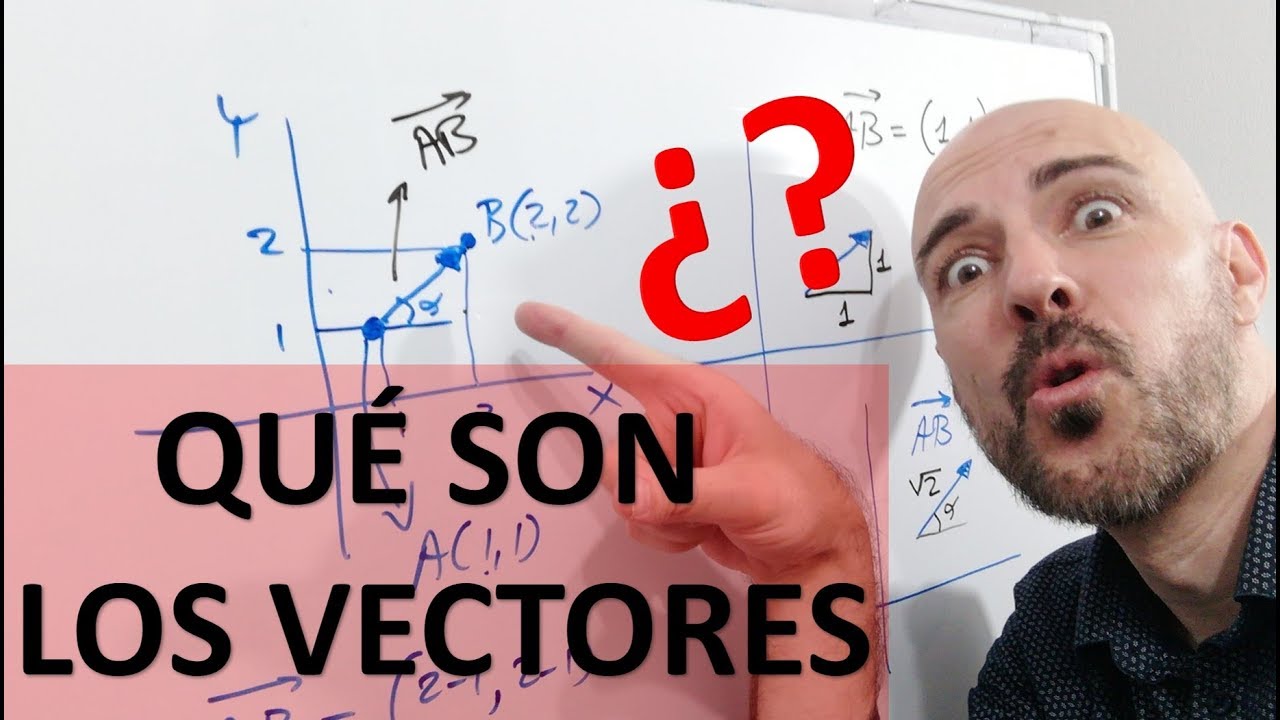 VECTORES.
