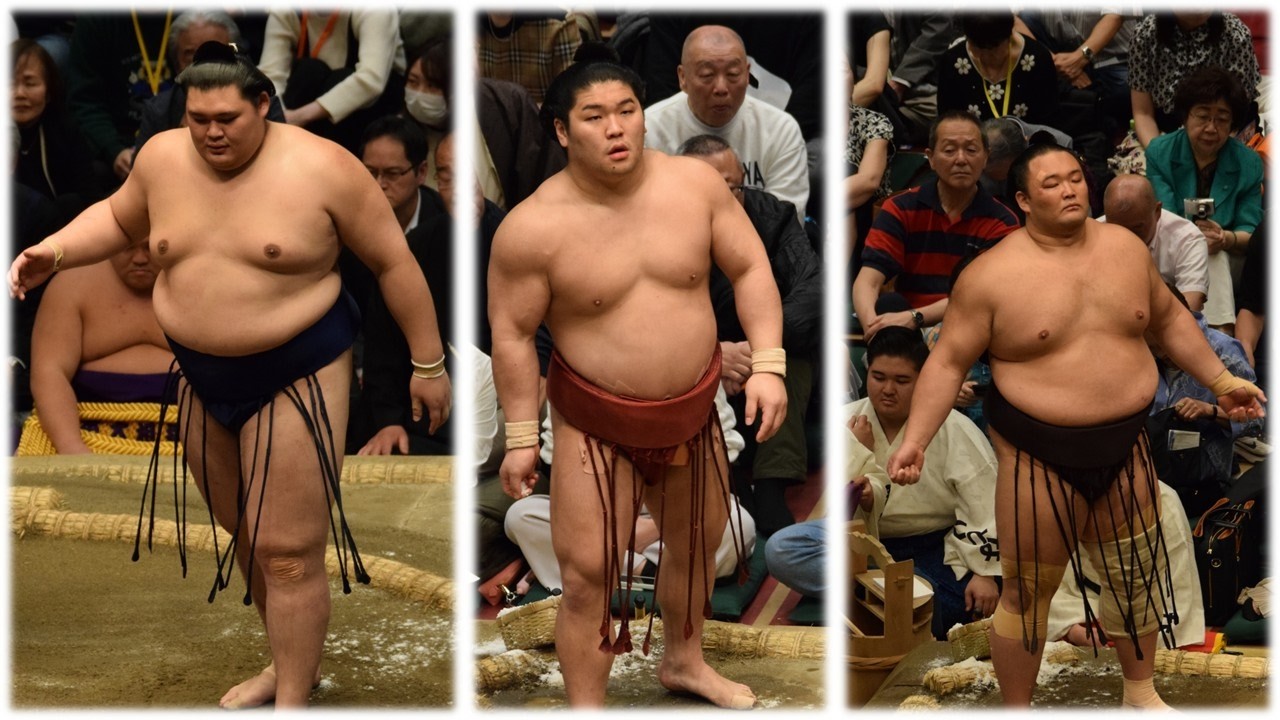 Aonishiki reunites with parents + how Paris Sumo SHOULD have broken internet (Sumo News, Jun 20th)
