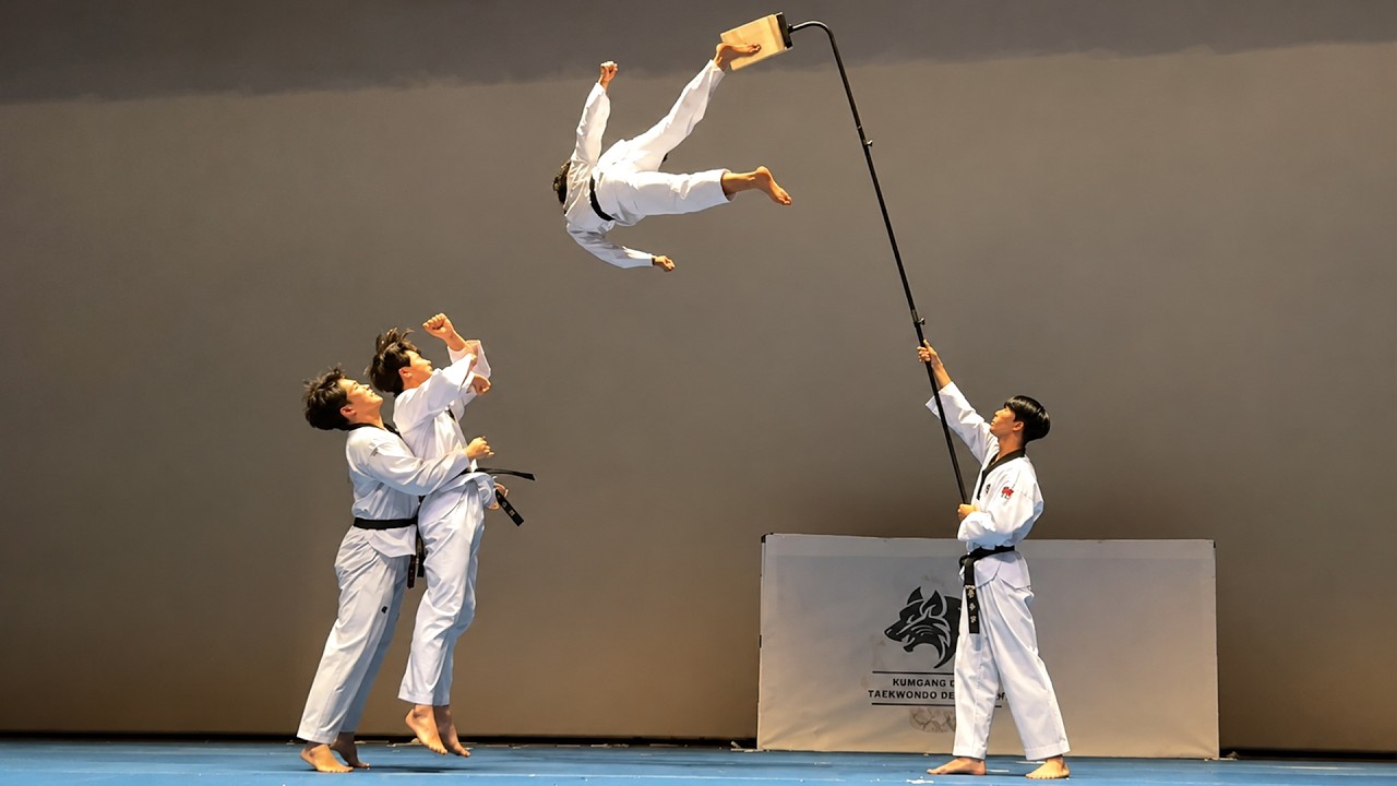 He FLEW Upside Down to Break a Board 10 FEET High! đ±đ„ Insane Taekwondo Demo!