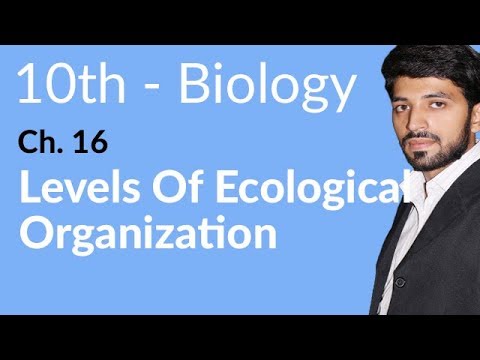 10th Class Biology Chapter 16 - Class 10 Biology Chapter 7 Man and his Environment - Biology Class 10 Chapter 16