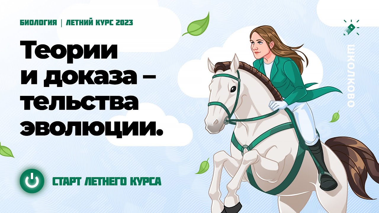 Летний курс ЕГЭ 2023