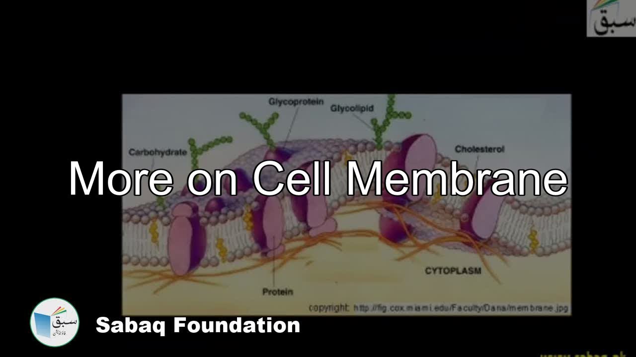 Class 11 KPK Biology Textbook