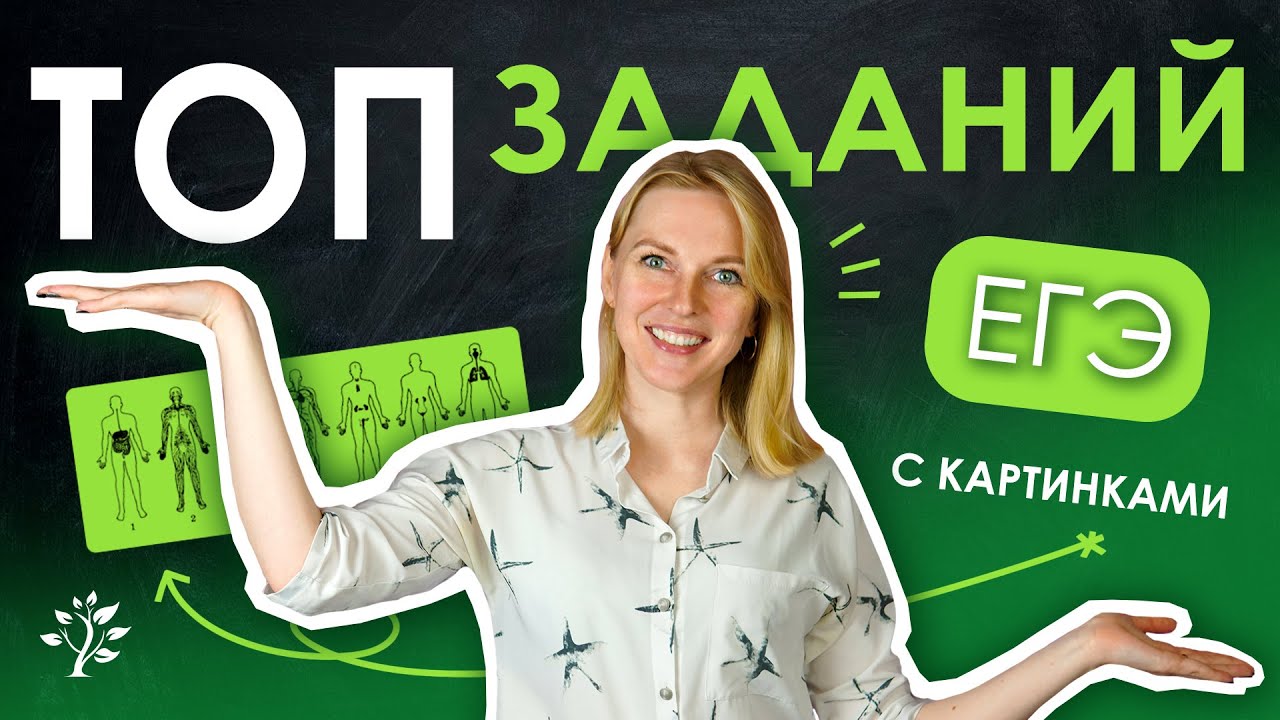 Биология. Всё о живых организмах: их строении, разнообразии и законах природы.