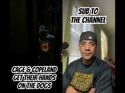Copeland & Cage Sent A WARNING Before Forbidden Door #shorts #aew #thedogs