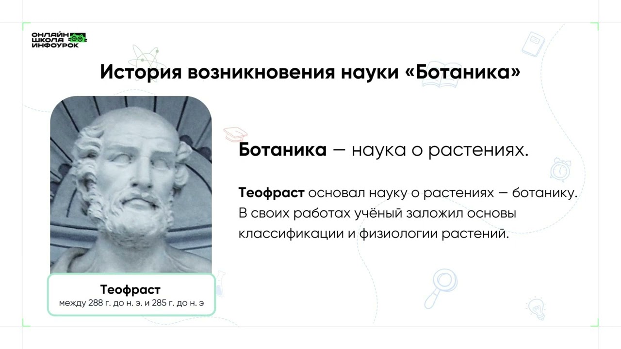 ВИДЕОУРОКИ: Биология 6 класс
